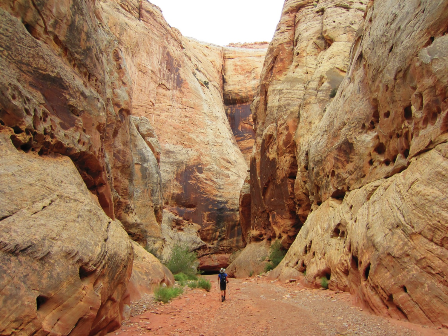 USA_Capitol Reef_A_010